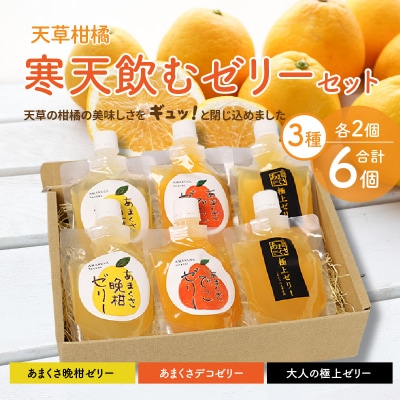 天草柑橘　寒天飲むゼリーセット_S024-004A