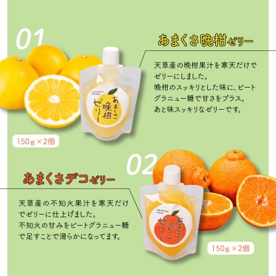 天草柑橘　寒天飲むゼリーセット_S024-004A