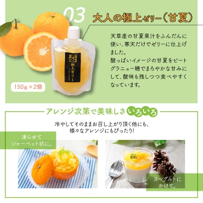 天草柑橘　寒天飲むゼリーセット_S024-004A