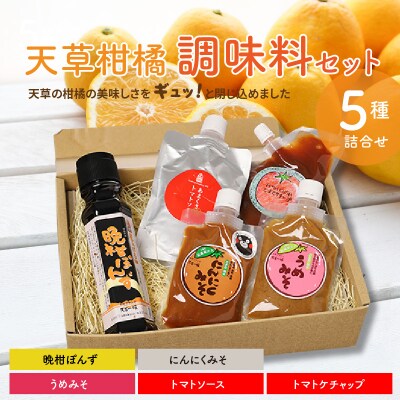 天草柑橘　調味料セット_S024-005A