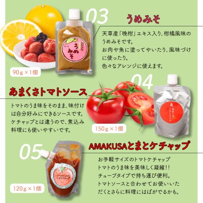 天草柑橘　調味料セット_S024-005A