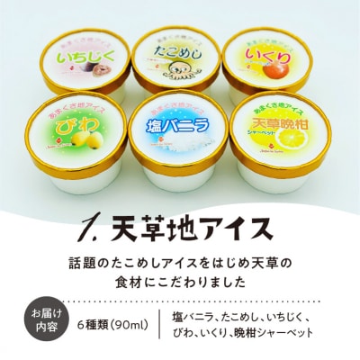 熊本・天草ご当地アイスセット_S030-005A