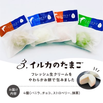 熊本・天草ご当地アイスセット_S030-005A