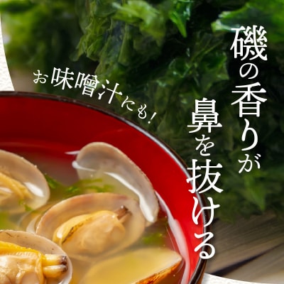 乾燥あおさ100g(25g×4枚)_S119-002A
