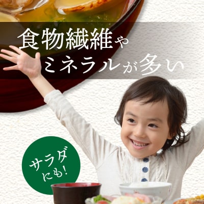 乾燥あおさ100g(25g×4枚)_S119-002A