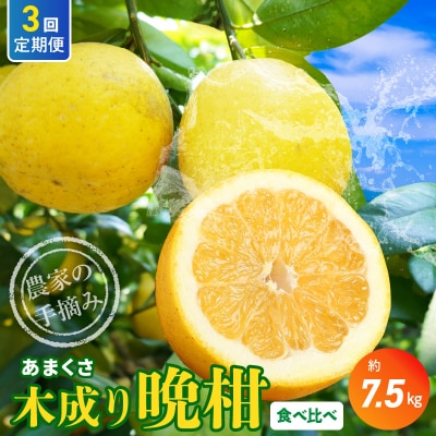 【定期便3回】もぎたて!! 愛情たっぷりあまくさ木成り晩柑食べ比べコース_S040-024A