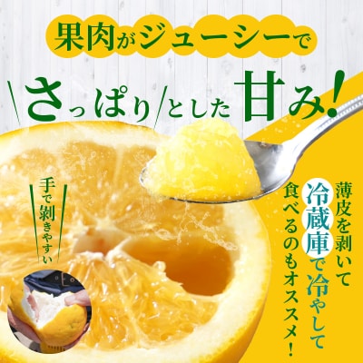 【定期便3回】もぎたて!! 愛情たっぷりあまくさ木成り晩柑食べ比べコース_S040-024A
