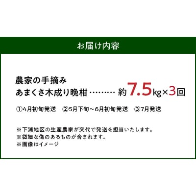 【定期便3回】もぎたて!! 愛情たっぷりあまくさ木成り晩柑食べ比べコース_S040-024A