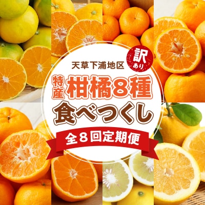 【定期便8回】天草 下浦地区特産の柑橘8種食べ尽しコース(訳あり)_S040-T01A