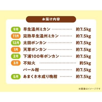 【定期便8回】天草 下浦地区特産の柑橘8種食べ尽しコース(訳あり)_S040-T01A