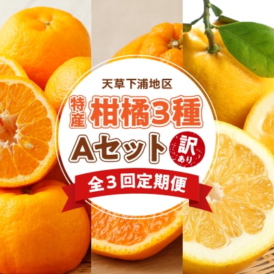 【定期便3回】天草 下浦地区特産の柑橘3種Aセット(訳あり)_S040-T02A