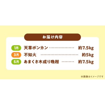 【定期便3回】天草 下浦地区特産の柑橘3種Aセット(訳あり)_S040-T02A