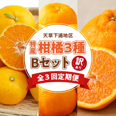 【定期便3回】天草 下浦地区特産の柑橘3種Bセット(訳あり)_S040-T03A