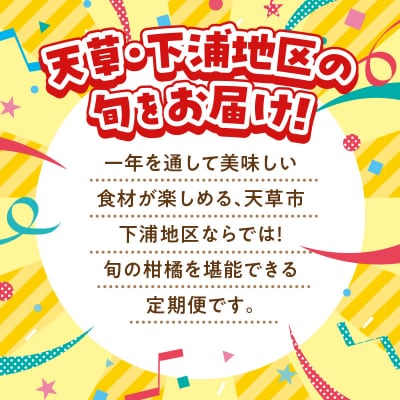 【定期便3回】天草 下浦地区特産の柑橘3種Bセット(訳あり)_S040-T03A
