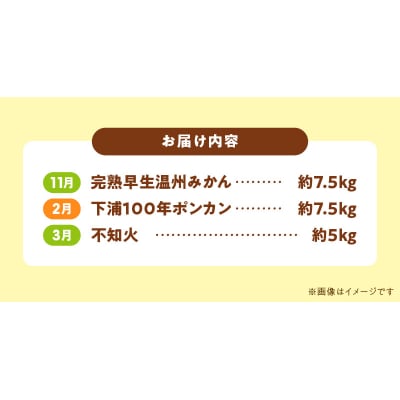 【定期便3回】天草 下浦地区特産の柑橘3種Bセット(訳あり)_S040-T03A