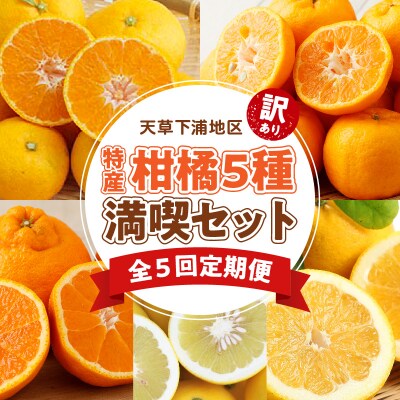 【定期便5回】天草 下浦地区特産の柑橘5種満喫セット(訳あり)_S040-T04A