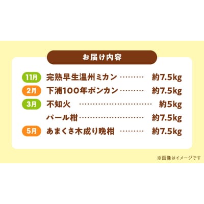 【定期便5回】天草 下浦地区特産の柑橘5種満喫セット(訳あり)_S040-T04A