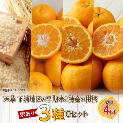 【定期便4回】天草 下浦地区の早期米と特産の柑橘3種Cセット(訳あり)_S040-T07A