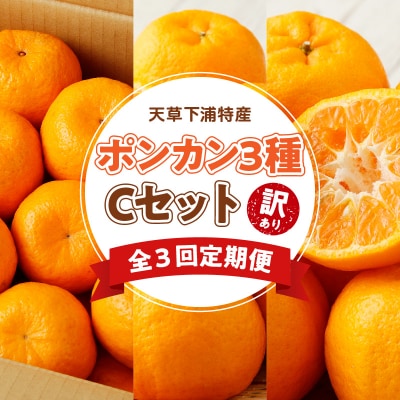 【定期便3回】天草 下浦特産ポンカン3種Cセット(訳あり)_S040-T07A