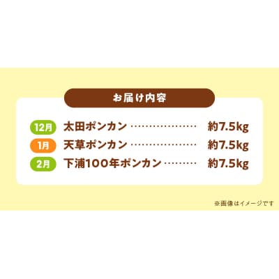 【定期便3回】天草 下浦特産ポンカン3種Cセット(訳あり)_S040-T07A