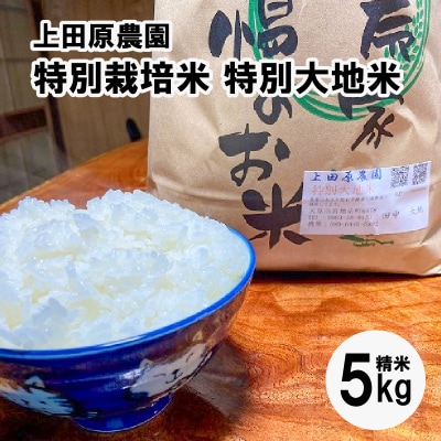 【令和7年産】精米 5kg_S051-004A