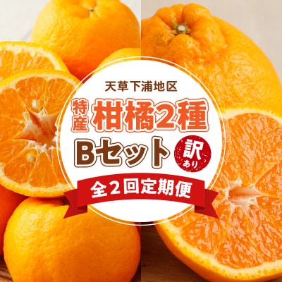 【定期便2回】天草　下浦特産の柑橘2種Bセット(訳あり)_S040-T06A