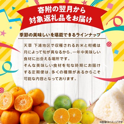 【定期便3回】天草 下浦地区の早期米と特産の柑橘2種Bセット(訳あり)_S040-T06A
