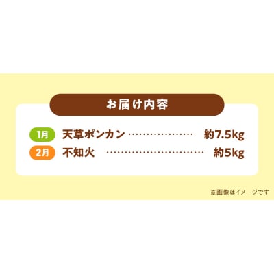 【定期便2回】天草　下浦特産の柑橘2種Bセット(訳あり)_S040-T06A