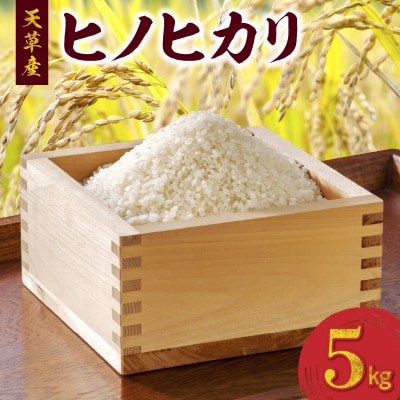 2024年産　天草産　ヒノヒカリ　5kg_S107-007A