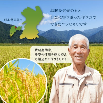 【令和7年産】コシヒカリ 精米 5kg_S050-007A