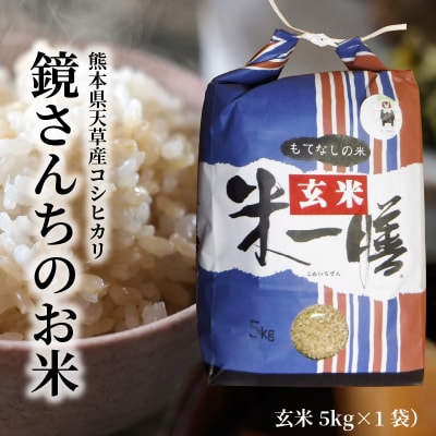 【令和7年産】コシヒカリ 玄米 5kg_S050-008A