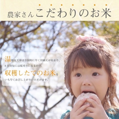 【令和7年産】コシヒカリ 玄米 5kg_S050-008A