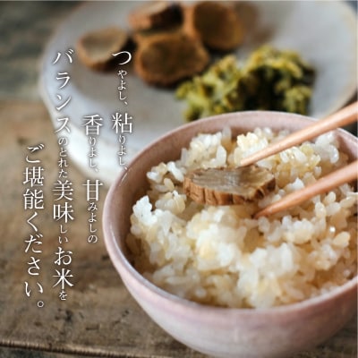 【令和7年産】コシヒカリ 玄米 5kg_S050-008A