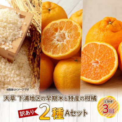 【定期便3回】天草 下浦地区の早期米と特産の柑橘2種Aセット(訳あり)_S040-T05A