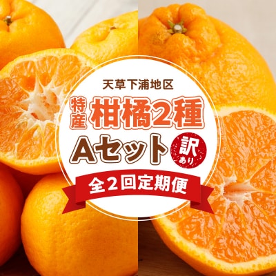 【定期便2回】　天草　下浦特産の柑橘2種Aセット(訳あり)_S040-T05A