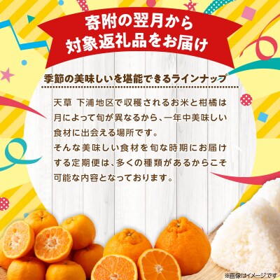 【定期便3回】天草 下浦地区の早期米と特産の柑橘2種Aセット(訳あり)_S040-T05A