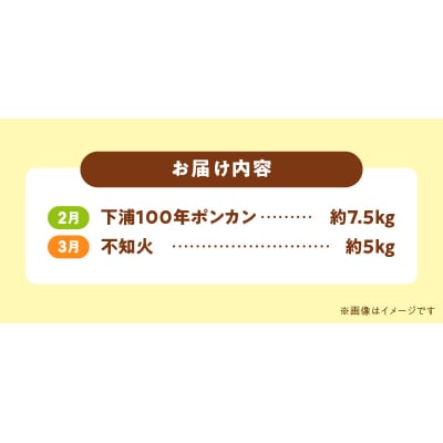 【定期便2回】　天草　下浦特産の柑橘2種Aセット(訳あり)_S040-T05A