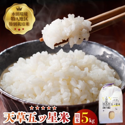 【先行受付】令和8年産 天草五ッ星米 精米 5kg_S061-009A