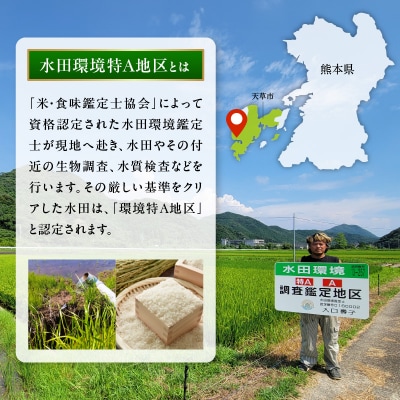 【先行受付】令和8年産 天草五ッ星米 精米 5kg_S061-009A