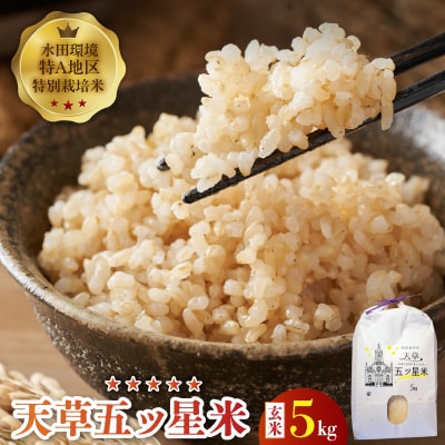 【先行受付】令和8年産 天草五ッ星米 玄米 5kg_S061-010A