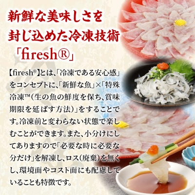 とらふぐ刺身セット/2～3人前【firesh(R)】_S106-012A