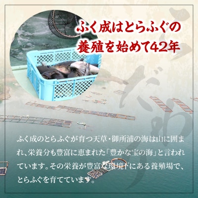 とらふぐ刺身セット/2～3人前【firesh(R)】_S106-012A