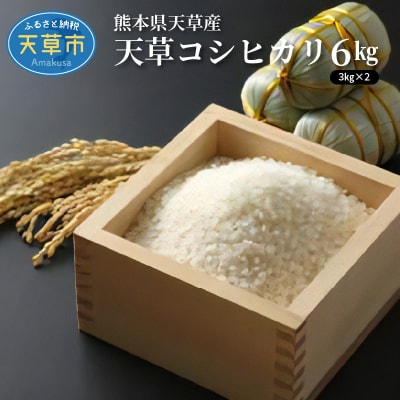 〈令和8年産〉熊本県天草産　天草コシヒカリ6kg(3kg×2)_S109-003A