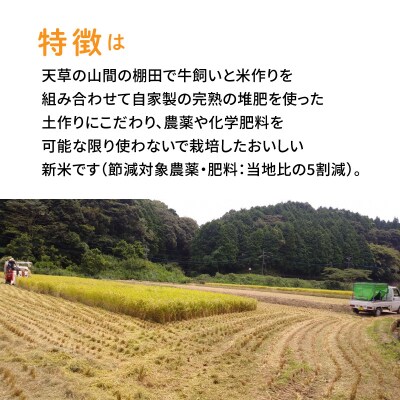 〈令和8年産〉熊本県天草産　天草コシヒカリ6kg(3kg×2)_S109-003A