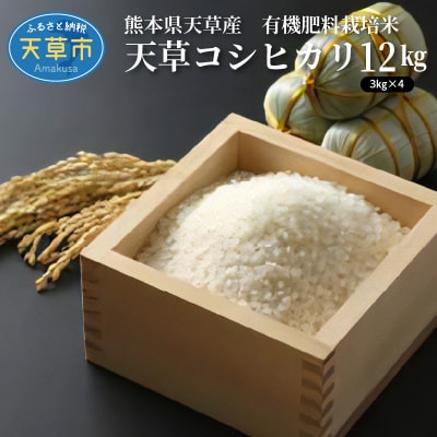 〈令和8年産〉熊本県天草産　天草コシヒカリ12kg(3kg×4)_S109-004A