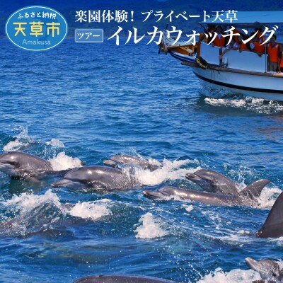 楽園体験プライベート天草(ツアー:イルカウォッチング)_S125-004