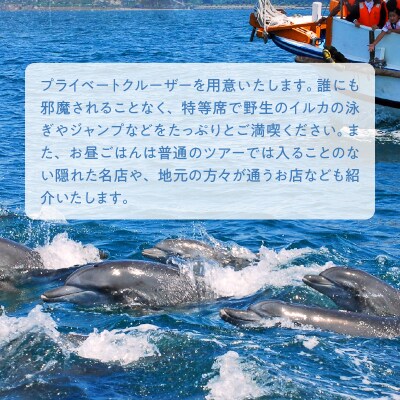 楽園体験プライベート天草(ツアー:イルカウォッチング)_S125-004