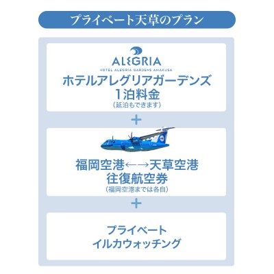 楽園体験プライベート天草(ツアー:イルカウォッチング)_S125-004