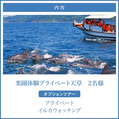 楽園体験プライベート天草(ツアー:イルカウォッチング)_S125-004