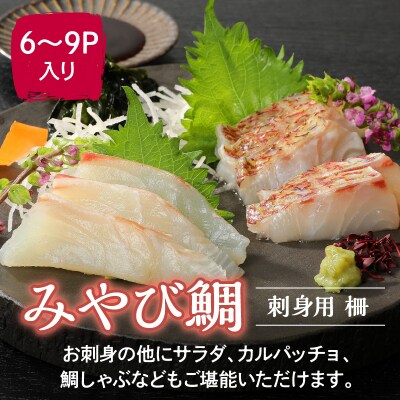 みやび鯛 刺身用 柵　900g_S124-003